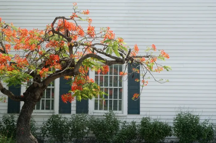 House Siding Ideas Columbus, OH House Siding Ideas Columbus, OH